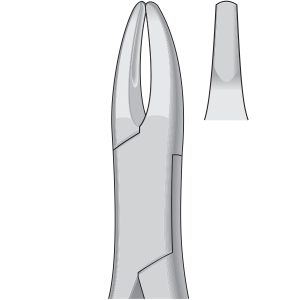 1AP1 Dental Tooth Extracting Forceps Fig 1 - Upper Incisors & Canines - American Pattern