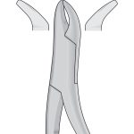Dental Tooth Extracting Forceps Fig 103 - American Pattern