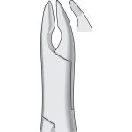 Dental Extraction Forceps