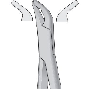 Dental Tooth Extracting Forceps Fig 151AS - Lower Incisors