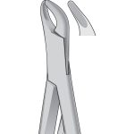 Dental Tooth Extracting Forceps Fig 151SK - Lower Primary Teeth & Roots - UNIVERSAL - American Pattern