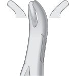 Dental Tooth Extracting Forceps Fig 24 - American Pattern