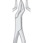 Dental-Tooth-Extracting-Forceps-Fig-32A-Parmly-Same-as-fig-32-but-with-more-slender-beaks