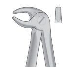 Dental Tooth Extracting Forceps Fig 13S - Lower Premolars - English Pattern CHILDREN