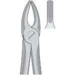 Dental Tooth Extracting Forceps Fig 2 - Upper Laterals & Canines - English Pattern