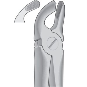 Dental Tooth Extracting Forceps Fig 21 - Lower Molars - English Pattern