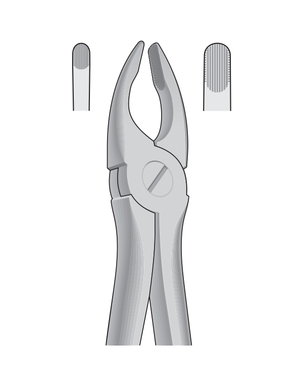 1EP3 Dental Tooth Extracting Forceps Fig 3 - Upper Crowded Incisors & Canines - English Pattern