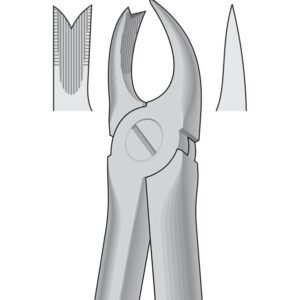 Tooth Extracting Forceps or tooth extraction tools