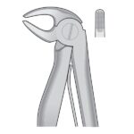 1EPK5 Dental Tooth Extracting Forceps Fig 5 Klein - Lower Incisors - English Pattern CHILDREN