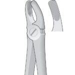 Dental Tooth Extracting Forceps Fig MD2 Mead - 1st